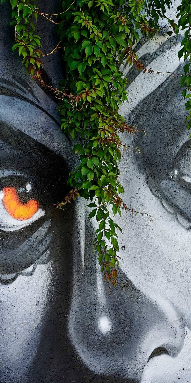 living inquiry by tomm claude Ein schwarz-weißes Wandgemälde eines Frauengesichts mit leuchtend orangefarbenen Augen, das teilweise von herabhängenden grünen Ranken verdeckt wird, erinnert an die Bedeutung von Selbstwert stärken inmitten des Erfolgsdrucks des Lebens. spirituelles coaching und zen meditation für emotionale heilung, erwachen und essenz